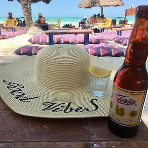 https://apt-tucasaenplaya.quintano-roohotels.com